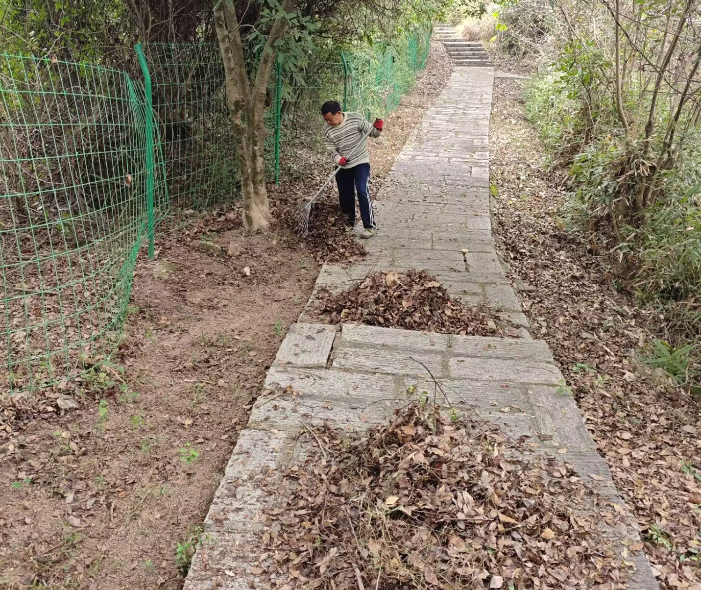 清理山林防火带.jpg 清理山林防火带.jpg