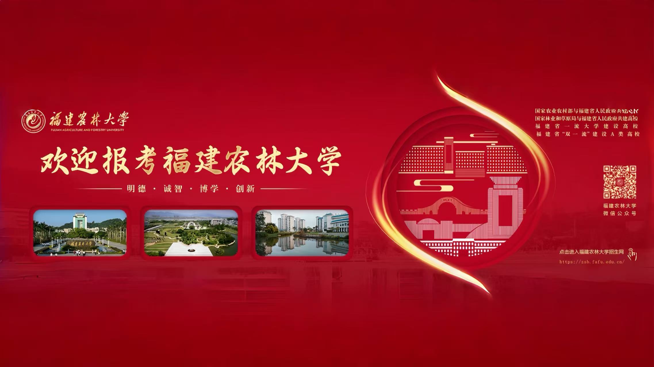 2026世界杯官方合作网站招生网